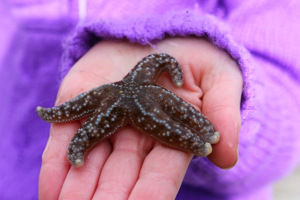 I am a Star