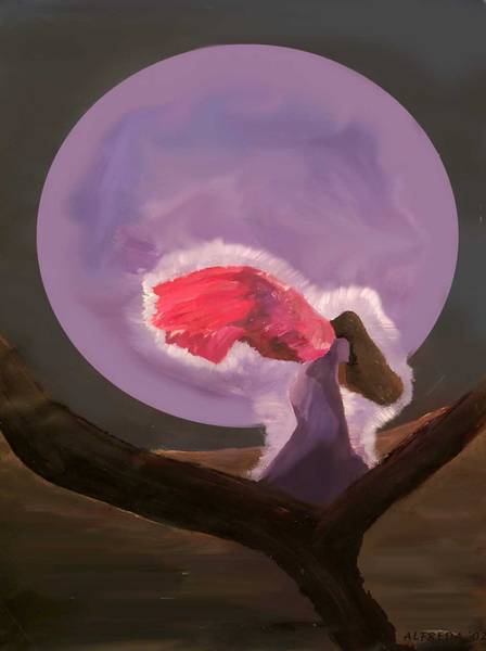 Angel in the night