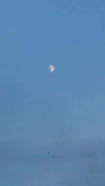 The bright moon