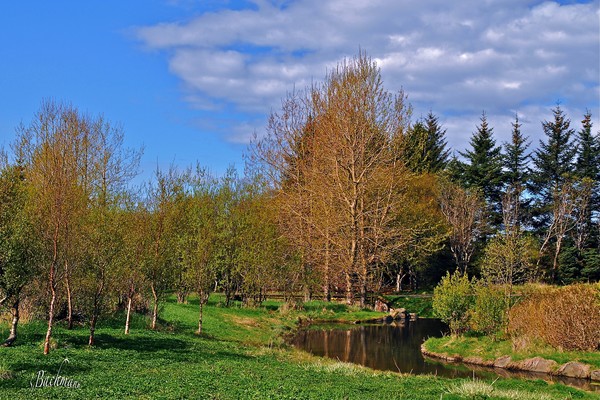 Spring has sprung !
