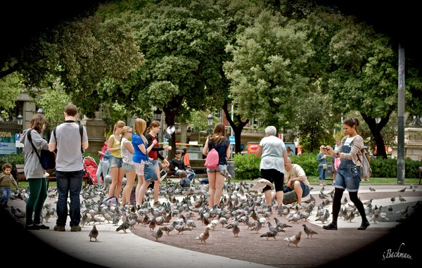  Tourists and pigeons in Spain ! 