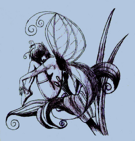 Lily Fairy - Rough