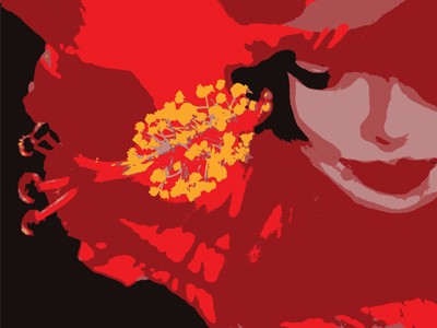 Hibiscus Blossom