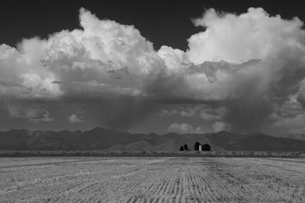 After Harvest