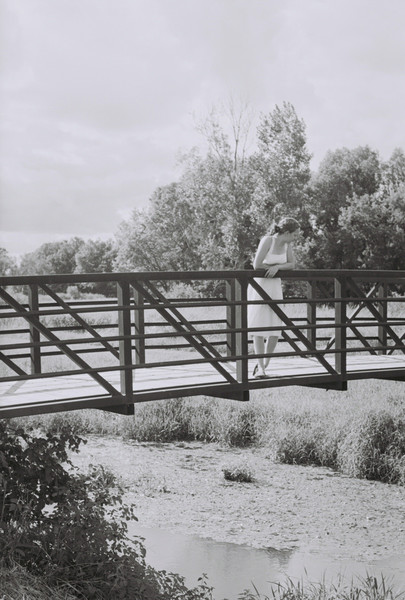 Bridge