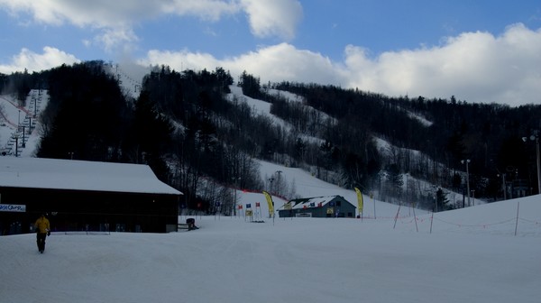 Gunstock
