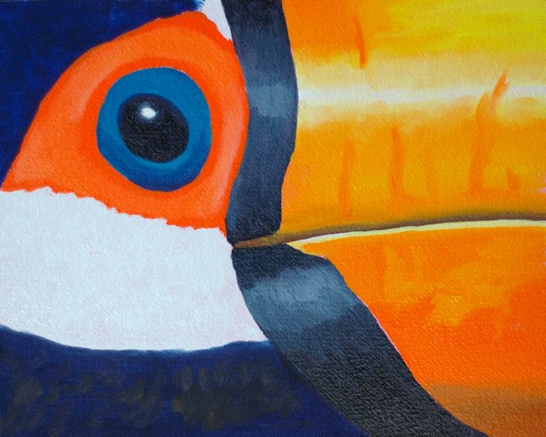 Toucan View