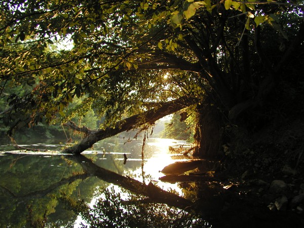 Joppa Mill Dam (Photo)