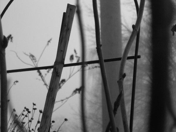 Winters grip