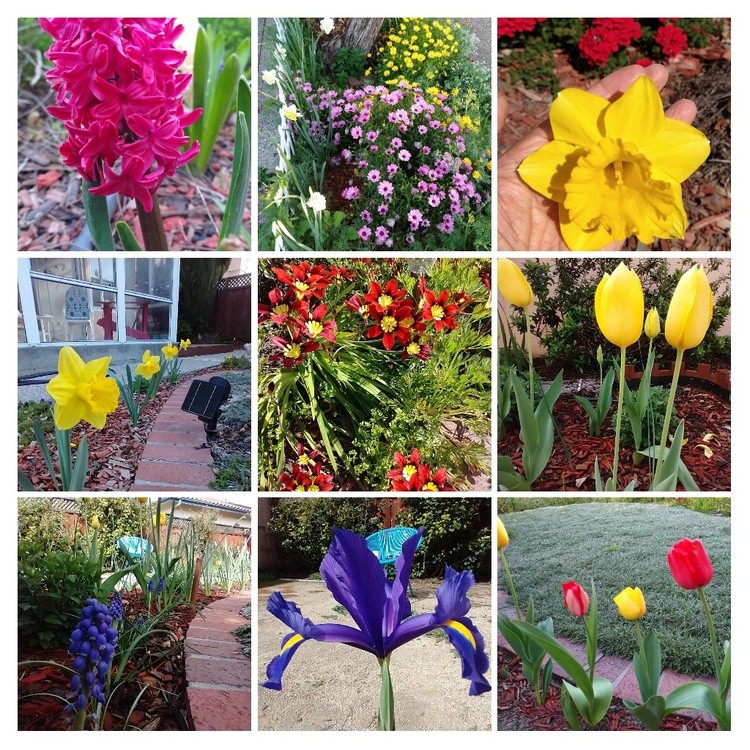  Collage 4