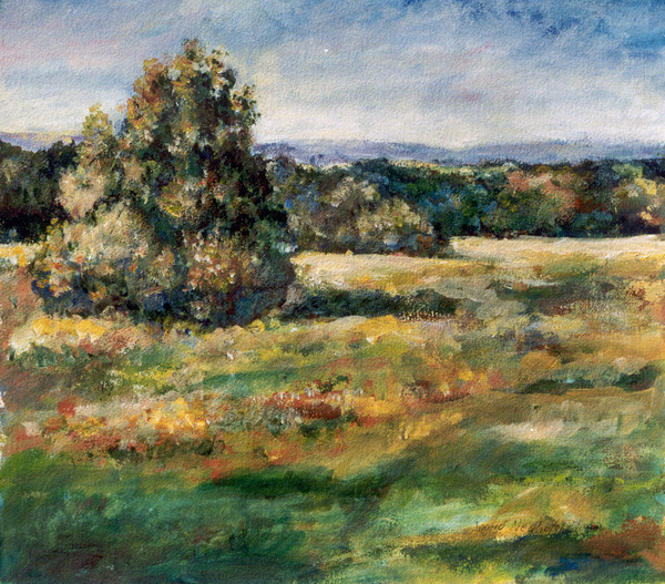 Countryside(Uli)