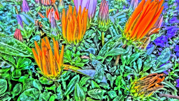 Flowers from Mars