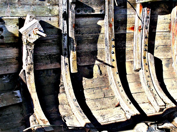 ribs