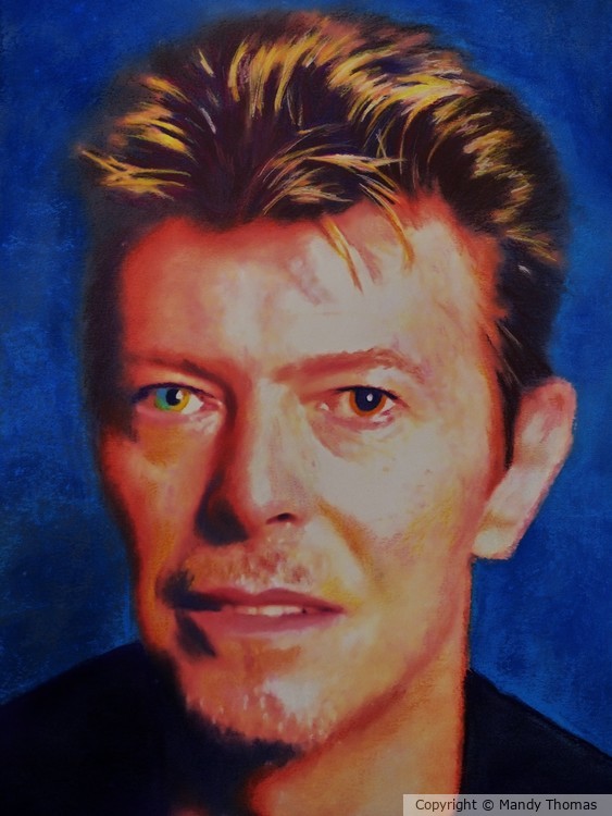 THE ILLUSTRIOUS BOWIE  by Mandy Thomas
