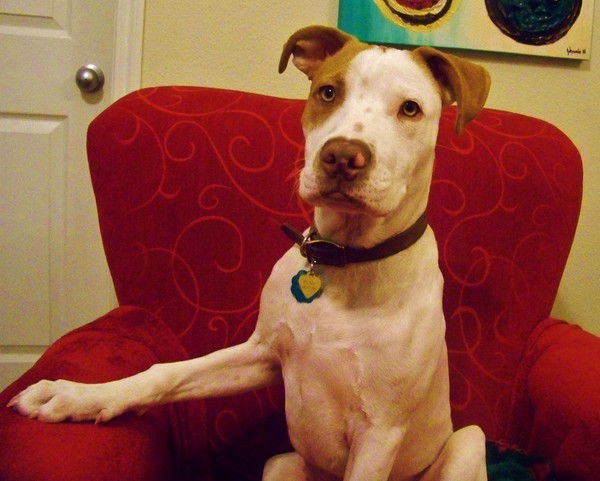 President Buster
