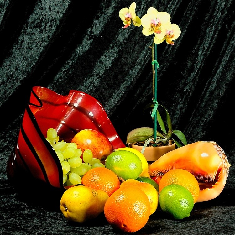 Horn Of Plenty