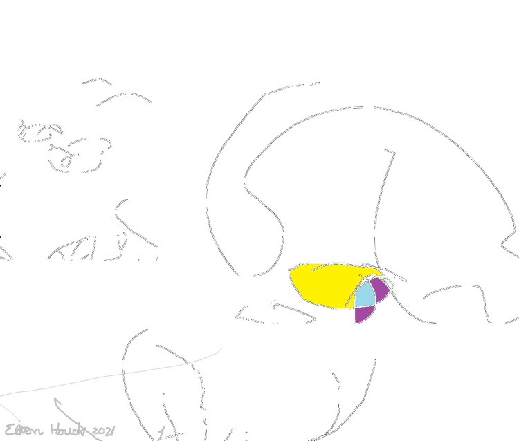 EYES CLOSED--NUDE STUDY DRAWINGS 1...(C)...2021...ELTON HOUCK...DIGITAL DRAWN WITH EYES SHUT..art...