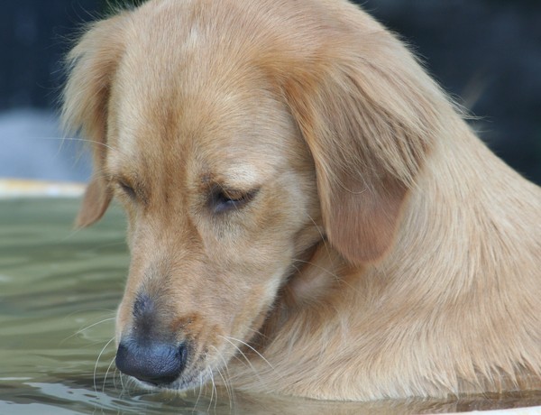 Ripples