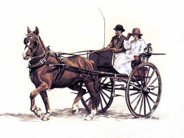Horse and carriage