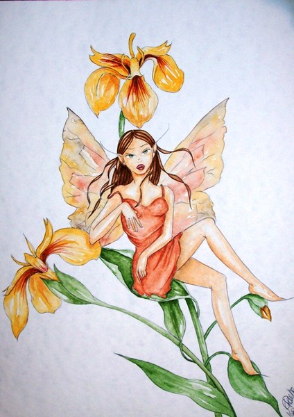 Iris