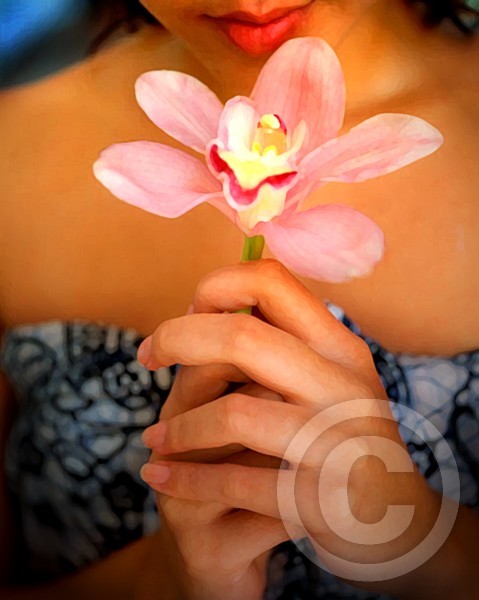 flowergift