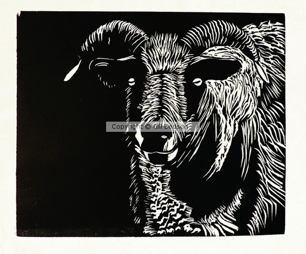 Jacob Ewe