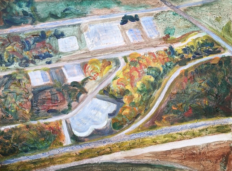 Autumn Air View