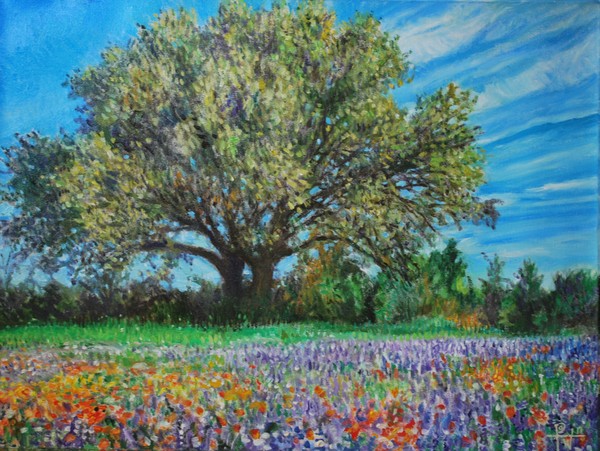 Primavera Tejas