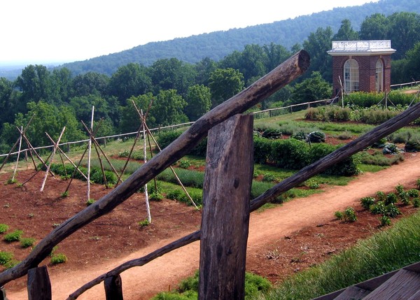 Mountain Garden