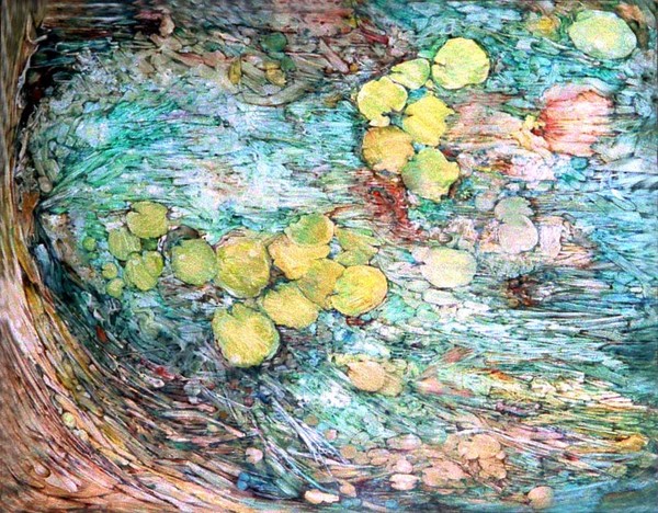 Lily Pond