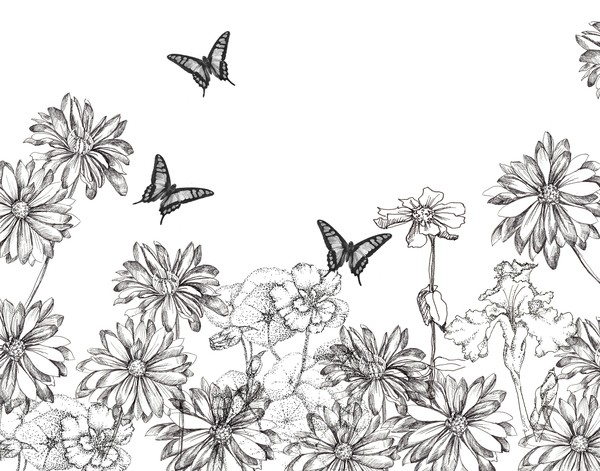 Garden in Black and White