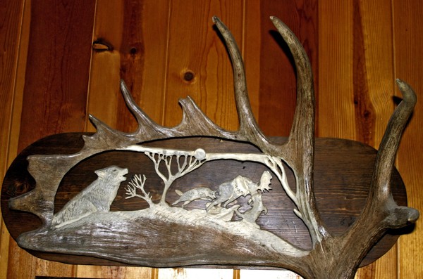 MOOSE ANTLER CARVING