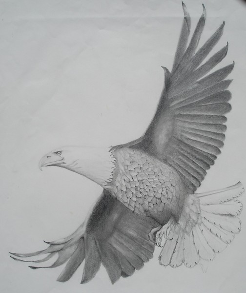 Freedom