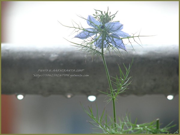 --in threes..it comes..