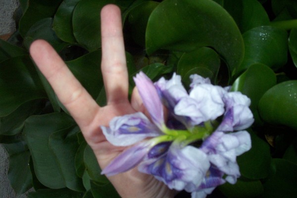 Peace with nature. 