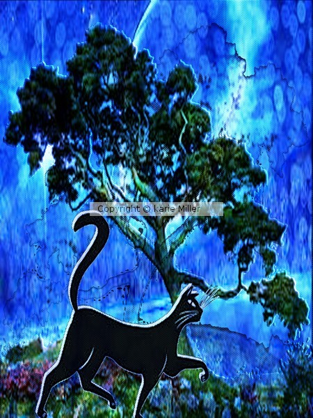 puurfect kity 8