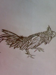 freehand5