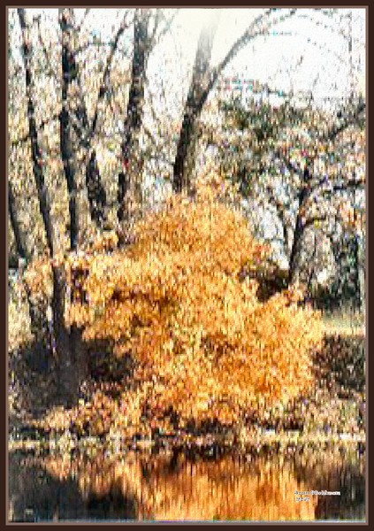 Autumn Reflections
