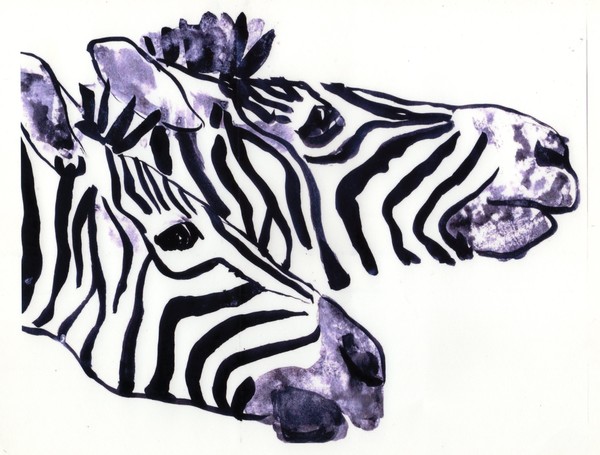 Zebra Twins
