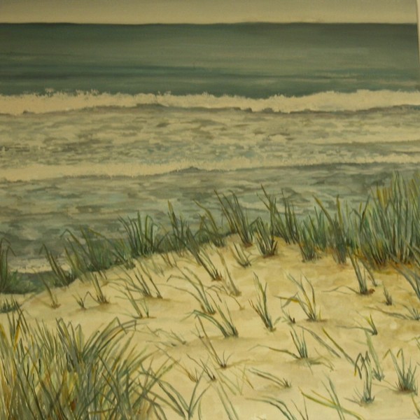 coastal dunes part II
