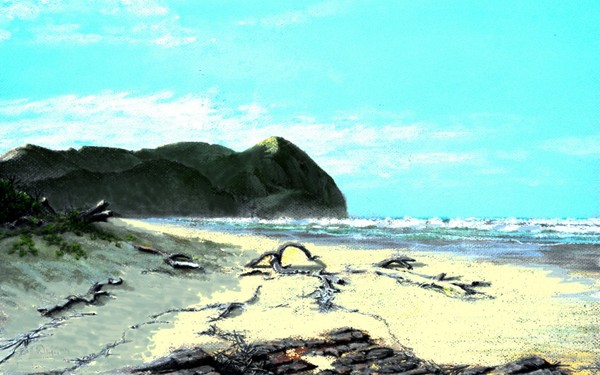 Pastel - Port St Johns Area