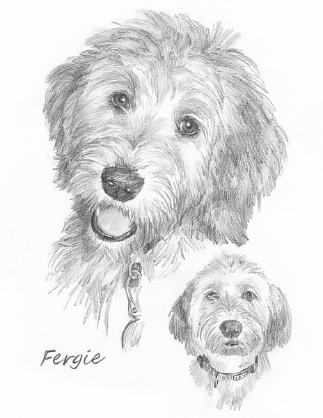 big puppy drawing mike theuer