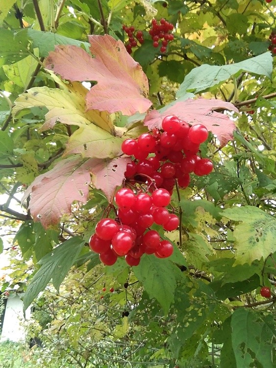 IMG 20211012 160935