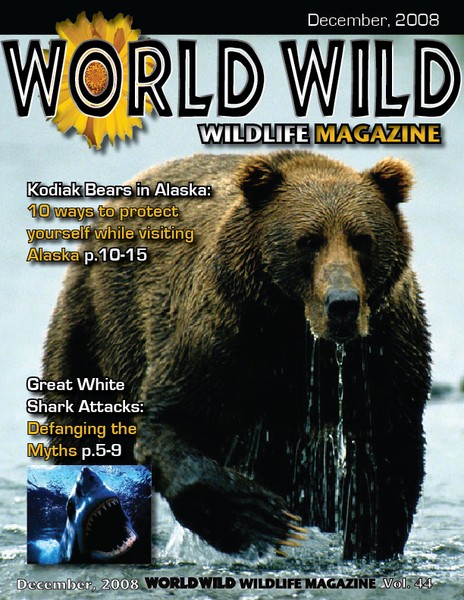 World Wild cover