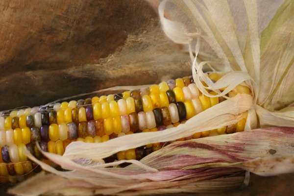 corn