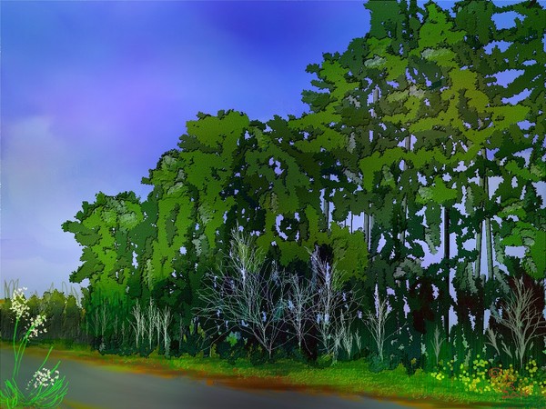 Country Road