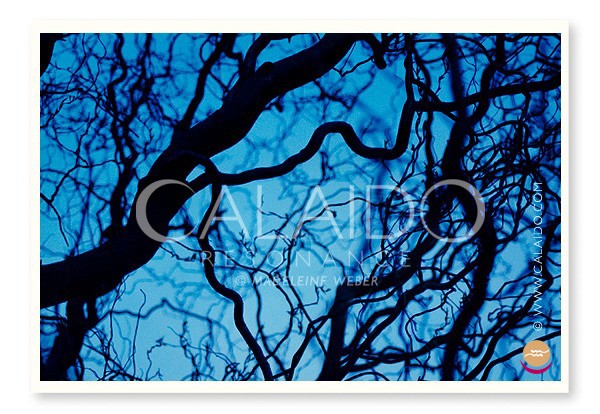 •Blue World•