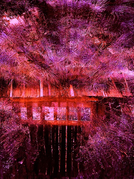 Forest Gate 13
