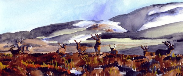 Deer Landscape