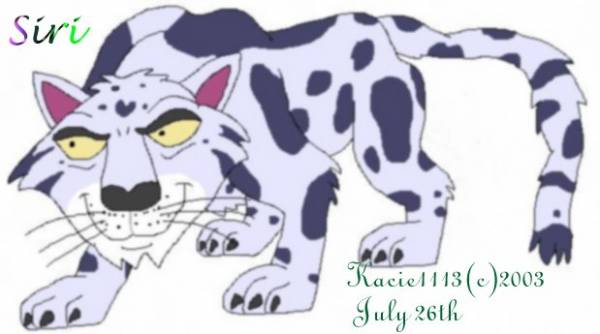 Siri the Clouded Leopard